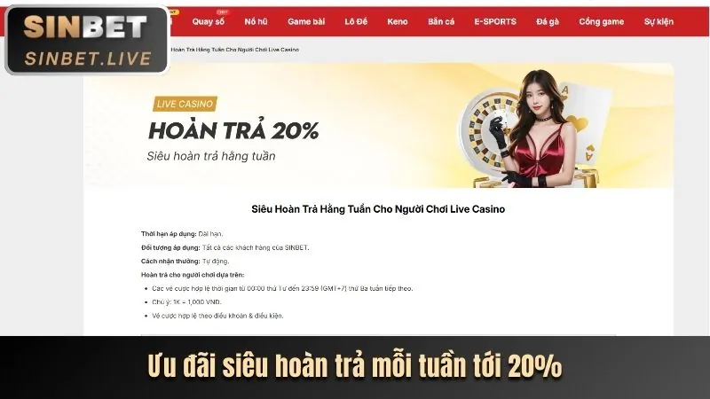 Các loại 8fbet Code và giá trị
