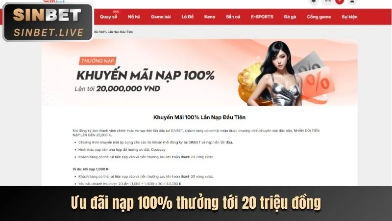Mẹo tối ưu hóa 8fbet Code